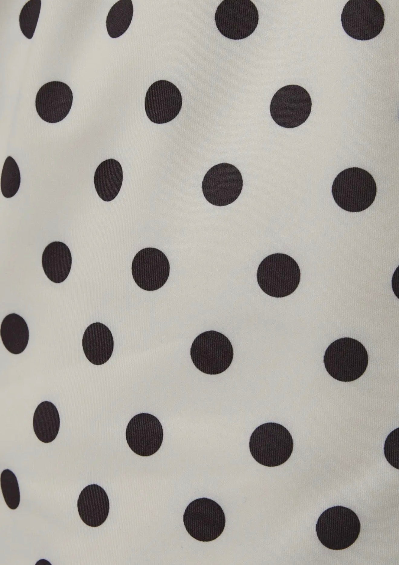 Black Polka Dot Shorts