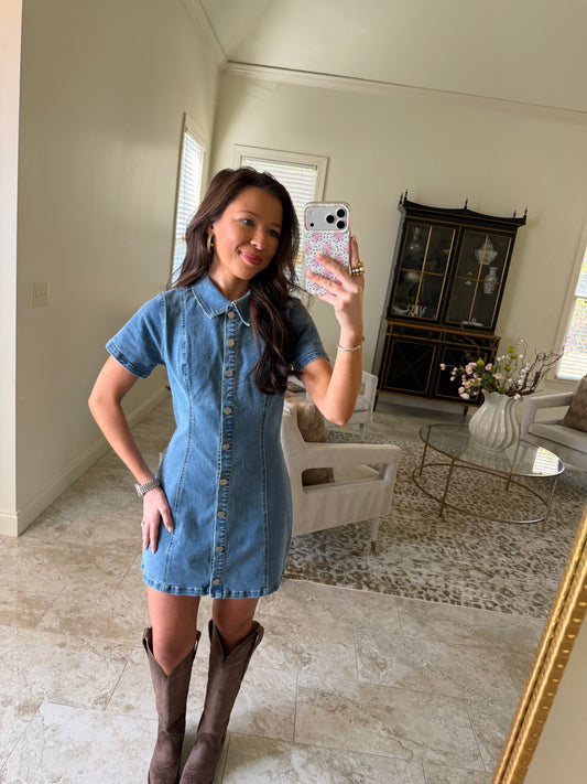 Lauren Denim Dress