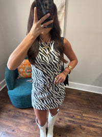 Zebra Skirt Set