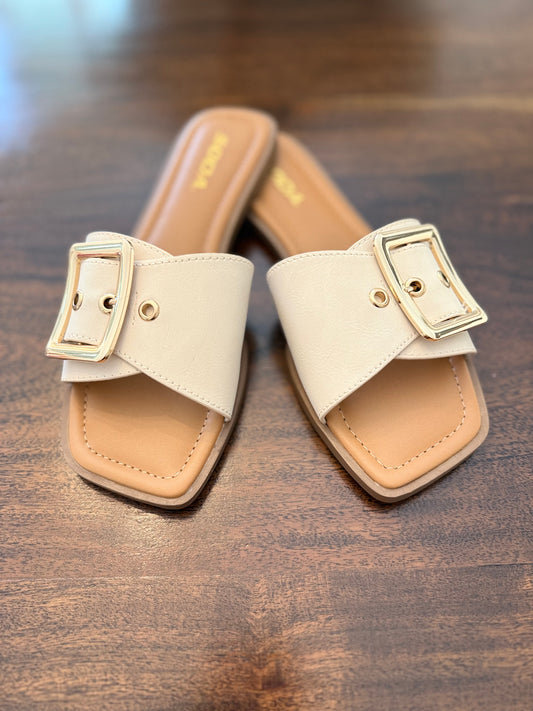 Tan Buckle Shoes